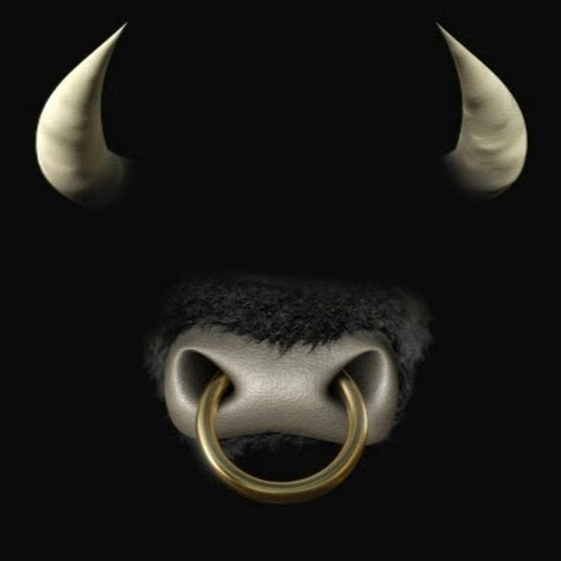 bullmove