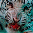 lmHB2StmfSg-channel-avatar-Shakuru