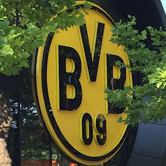 BVB Support