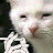 @zenxeno5346 Avatar