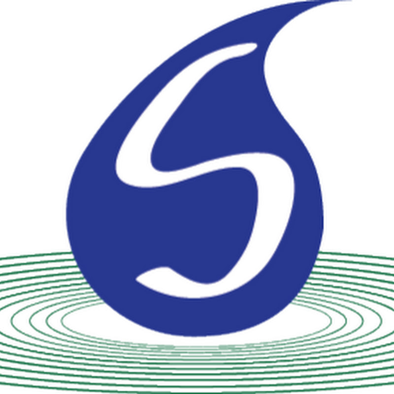 Sustainability Theory