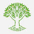 fbX5eNAbpeo-channel-avatar-Maharishi International University