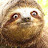 @KHIMAIRA2110's avatar