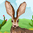 @robertschoonover6517 Avatar