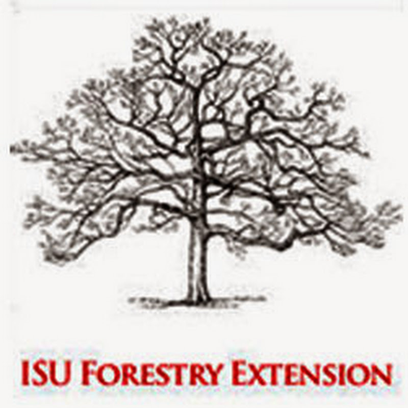 Forestry Extension icon