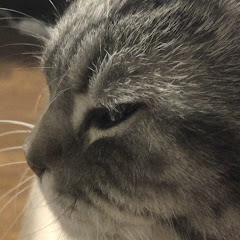 たーそん