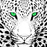 kO6O8BzYUls-channel-avatar-Kaleel Zibe - Wild Leopard Films