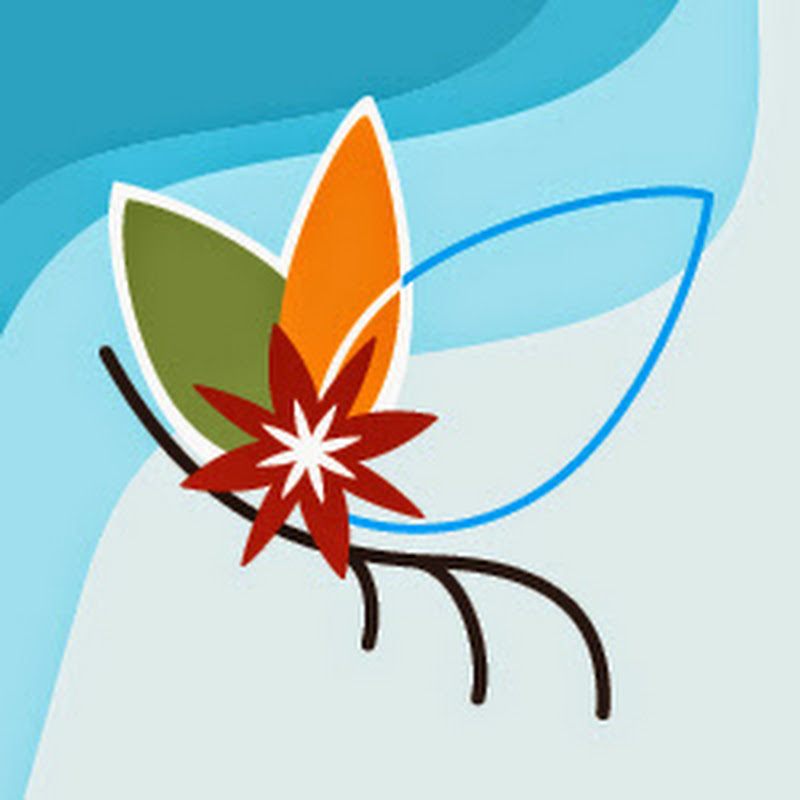 mangrovelodge