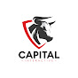 Capital Interactive logo