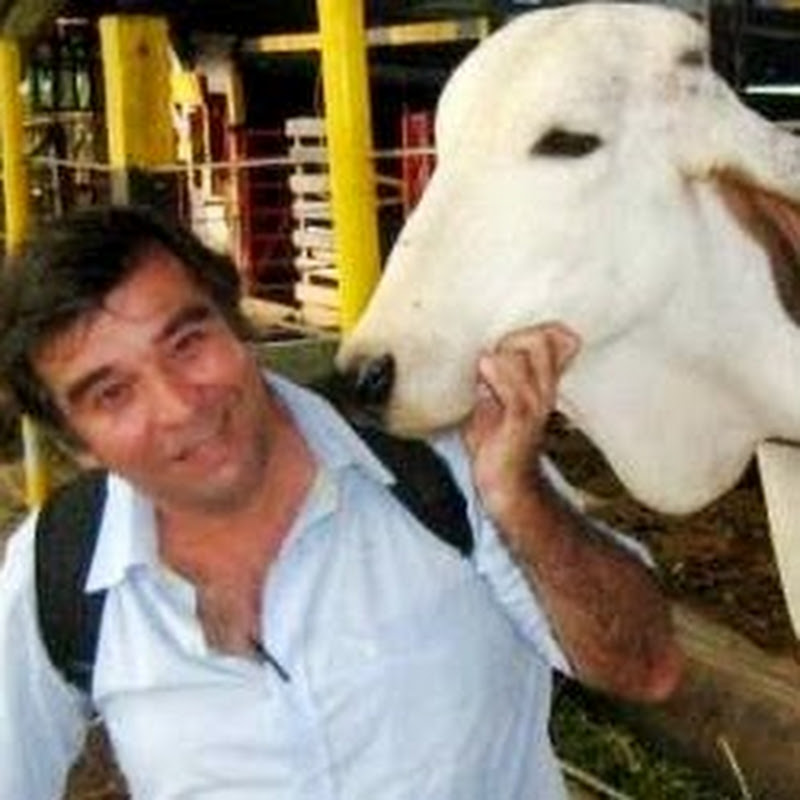 Juan Manuel Àngel Vargas (Tu Canal)