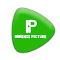 Immense Picture logo
