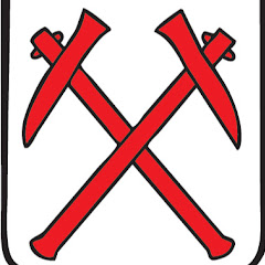 Skinnskattebergs kommun