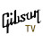 Gibson TV