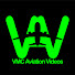 VMC Aviation Videos