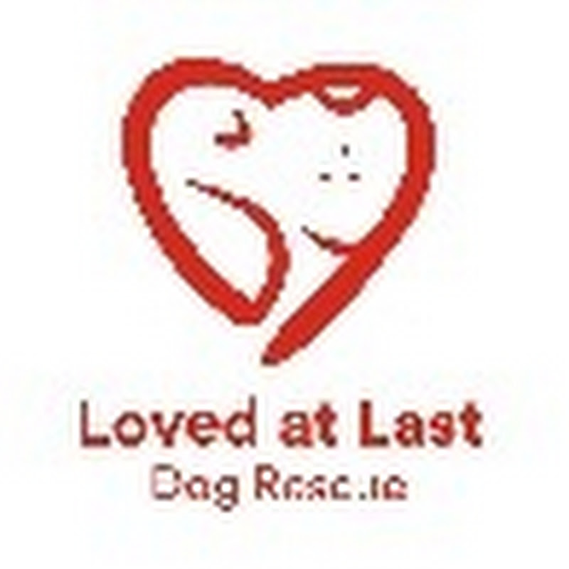 Loved At Last Dog Rescue