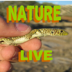 NatureLive