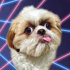 Thumbnail of related channel