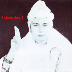 Vibracobra_23
