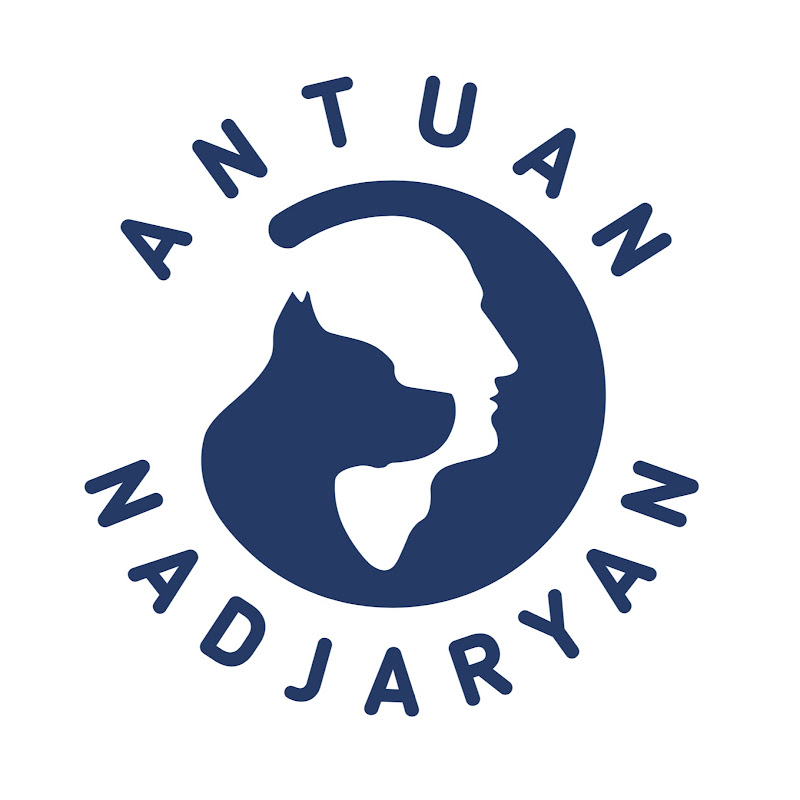 Антуан Наджарян Logo