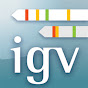 IGV logo