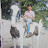 avatar of @samdon3693