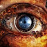 hH9yMGFKgfw-channel-avatar-Lucid Trader