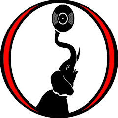 AquaTrunk Radio
