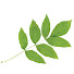 NH8UAOMLxV4-channel-avatar-Neuropathy Alliance of Texas
