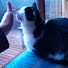 Channel Image