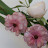 @user-ek1ir7vw4q