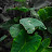 @nilanjandas6928's avatar