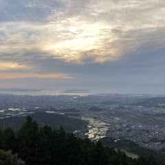 野生のごりたむ