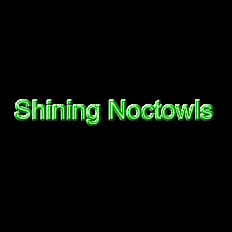 ShiningNoctowls