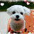 @디아스포라-l3v
