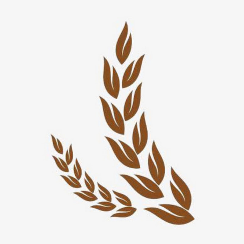 ‫سنابل ”د. صابرجويلي“‬‎