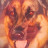 @bigdan2828ify's avatar