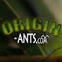 Origin Ants logo