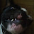 @lew80s53's avatar