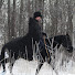 mH5FWys9BEk-channel-avatar-Сергей Сазонов
