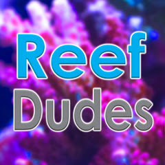 ReefDudes channel logo
