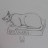 avatar of @feline_luv