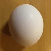 TA。の編集練習場