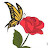 author-img
