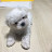 @림림-s4g