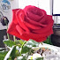 9WAHQt_n4Qc-channel-avatar-Marek Bochenek