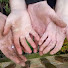 Dvbhx15ZW6g-channel-avatar-Art of Creation Homestead