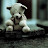 @Hoodville13's avatar