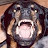 @perfectlymaid's avatar