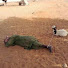 NSUO0FXn-Yo-channel-avatar-Oumar Diallel