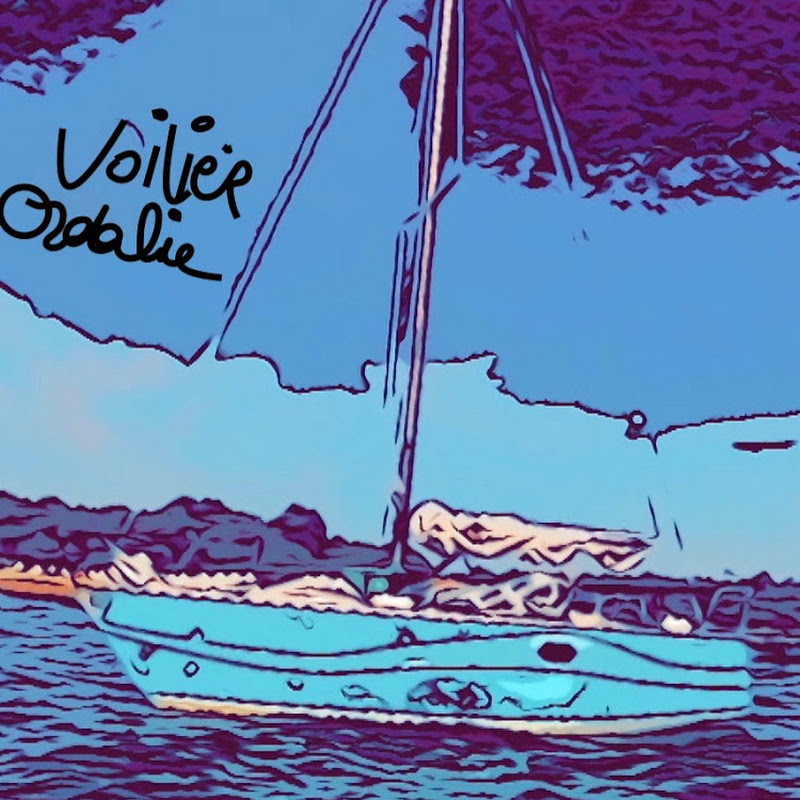 voilierordalie